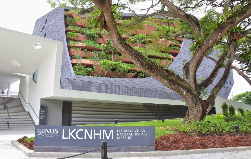 Museo de Historia Natural Lee Kong Chian (Singapur) |: 6 mejores museos de historia natural del mundo | bayas de cerebro