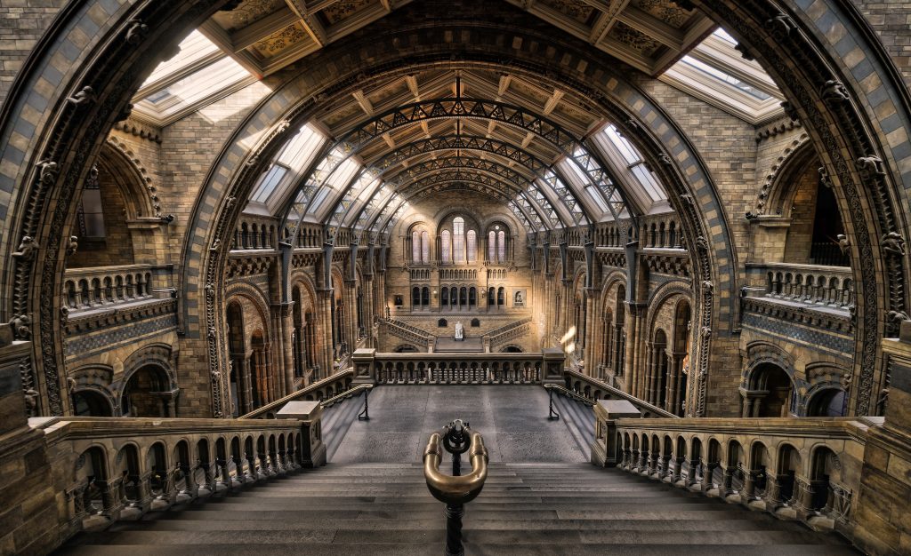 Museo de Historia Natural (Londres) por dentro |: 6 mejores museos de historia natural del mundo | bayas de cerebro