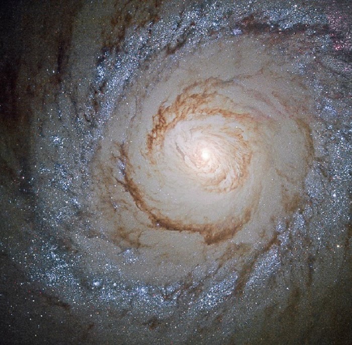 La madre de las supernovas Las 7 galaxias más extrañas del universo | bayas de cerebro