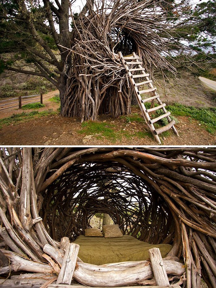 Cama nido |: 10 camas extrañas en las que nunca dormirás bayas de cerebro