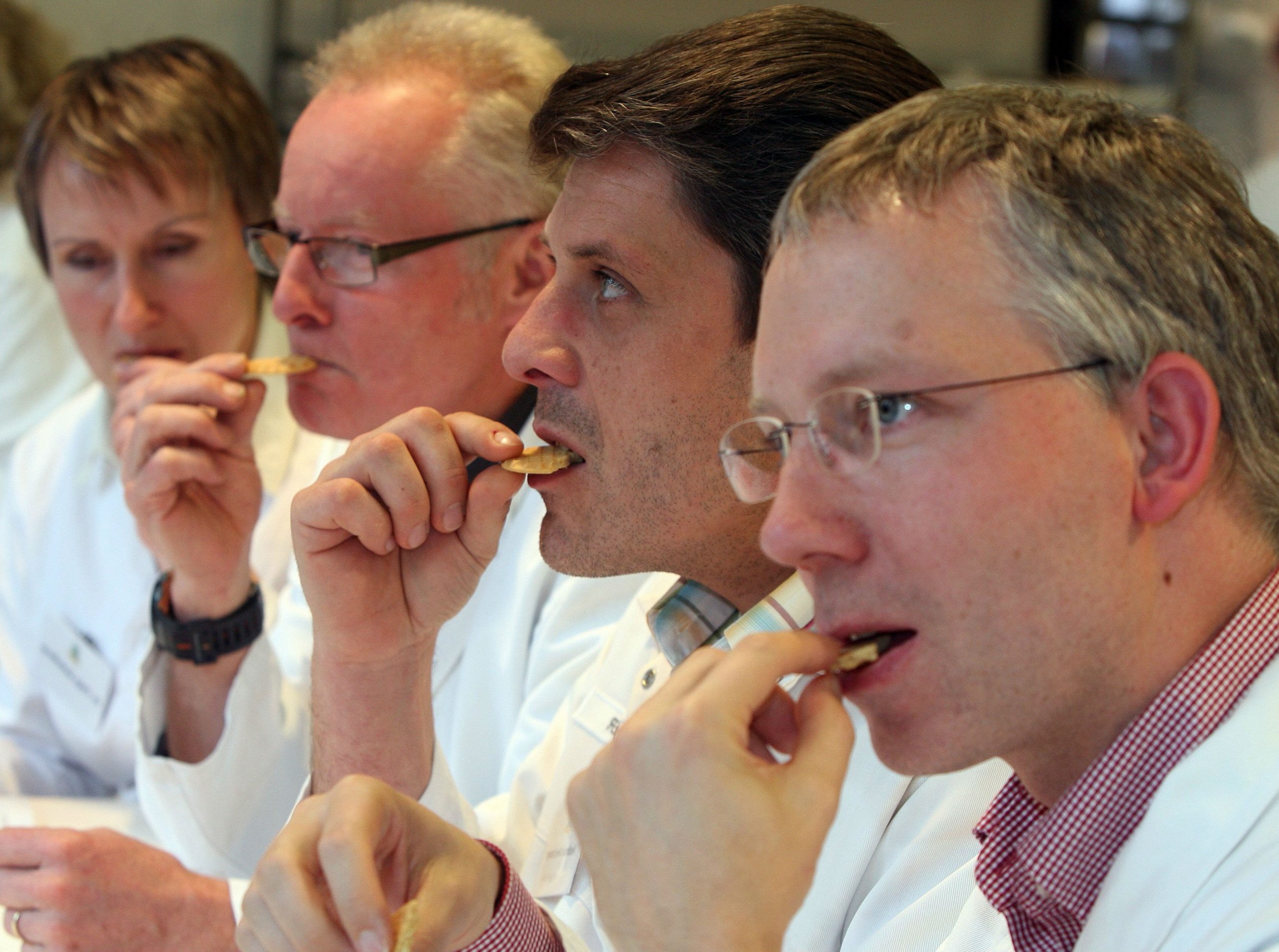 Catador de comida para perros | Los 8 trabajos más extraños a los que puedes postularte | bayas de cerebro