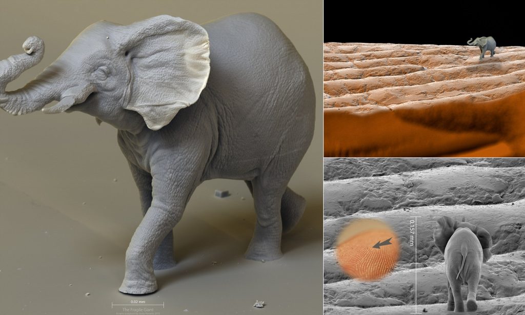 Jonty Hurwitz | 8 increíbles pequeñas obras de arte | CerebroBerry: