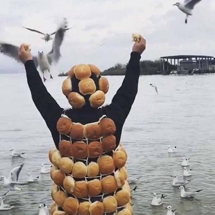 alimentar a los pájaros El arte de la comida exigente @TotallyGourmet | bayas de cerebro