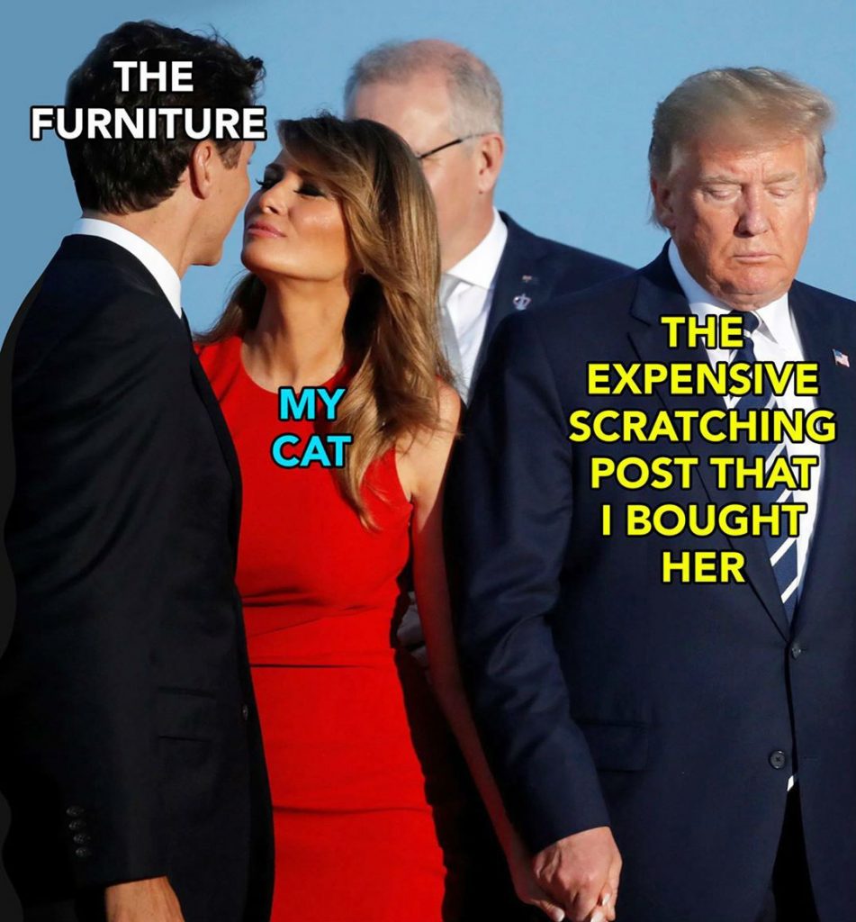     #MelaniaLovesTrudeau #7 | bayas de cerebro