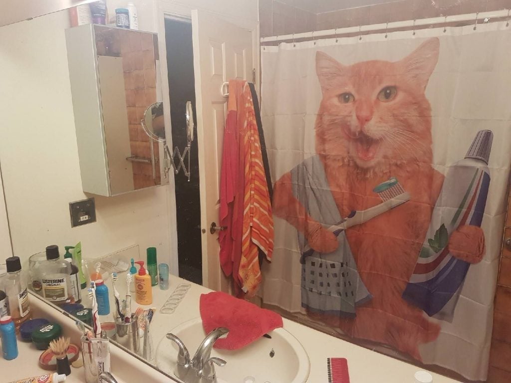 28 cortinas de ducha para adultos n.° 19 | bayas de cerebro