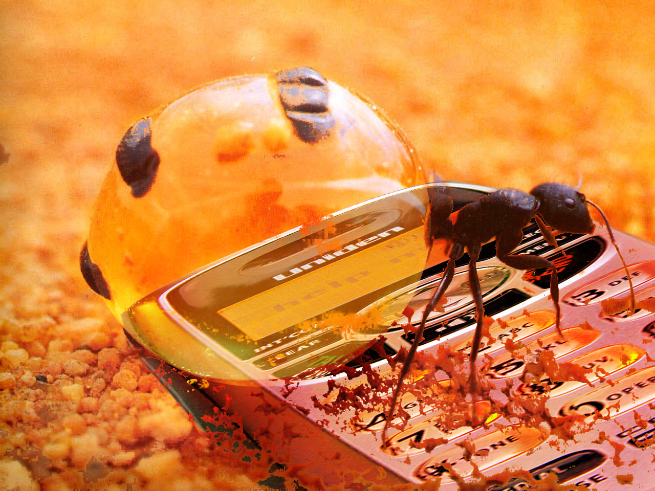 15 de los animales más aterradores que nunca conociste 4