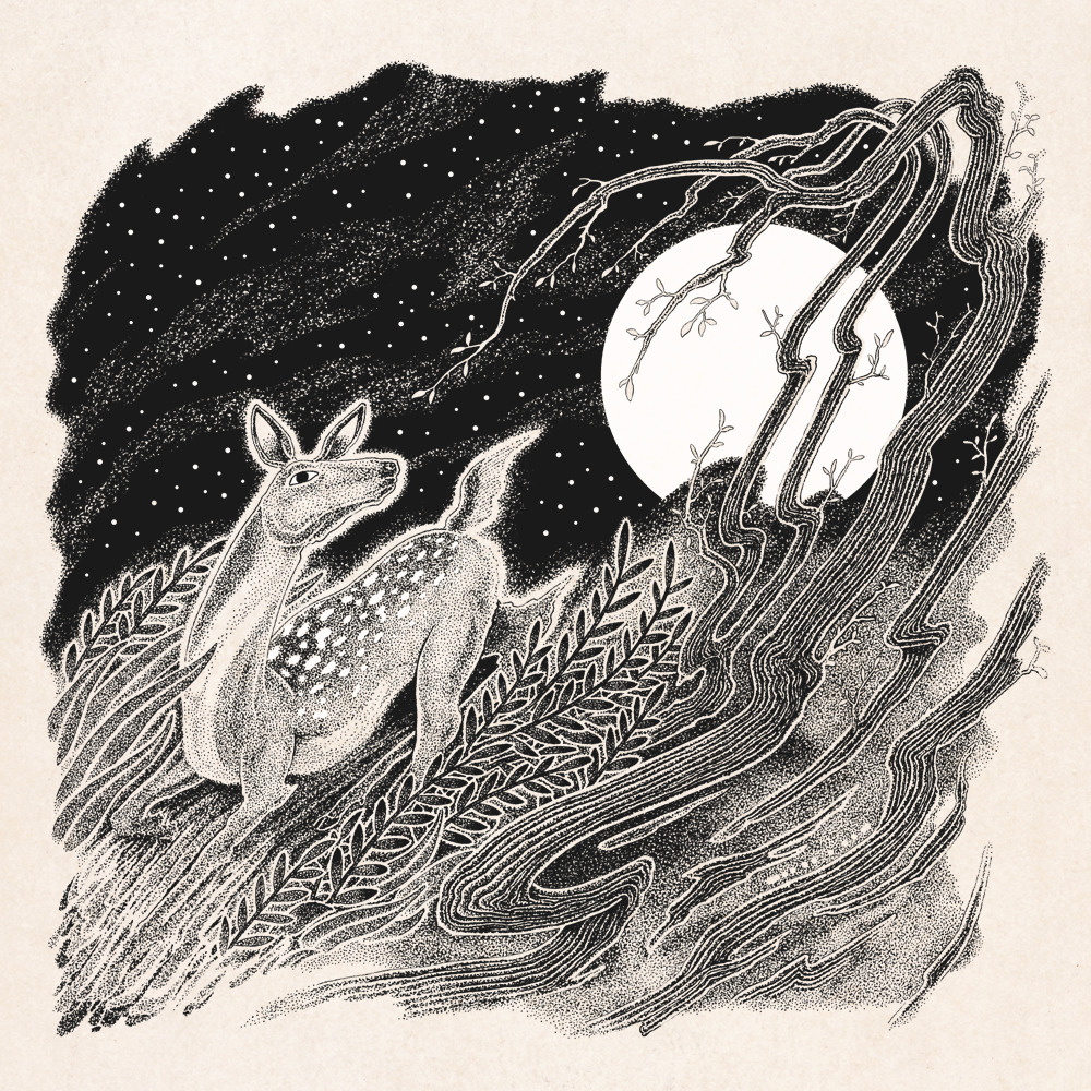 Solo 53 mil. John las increíbles aventuras de John y su perro 12