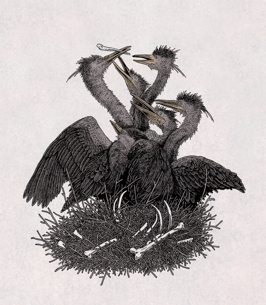 Solo 53 mil. John's Trailing Incredible Adventures y su perro 13