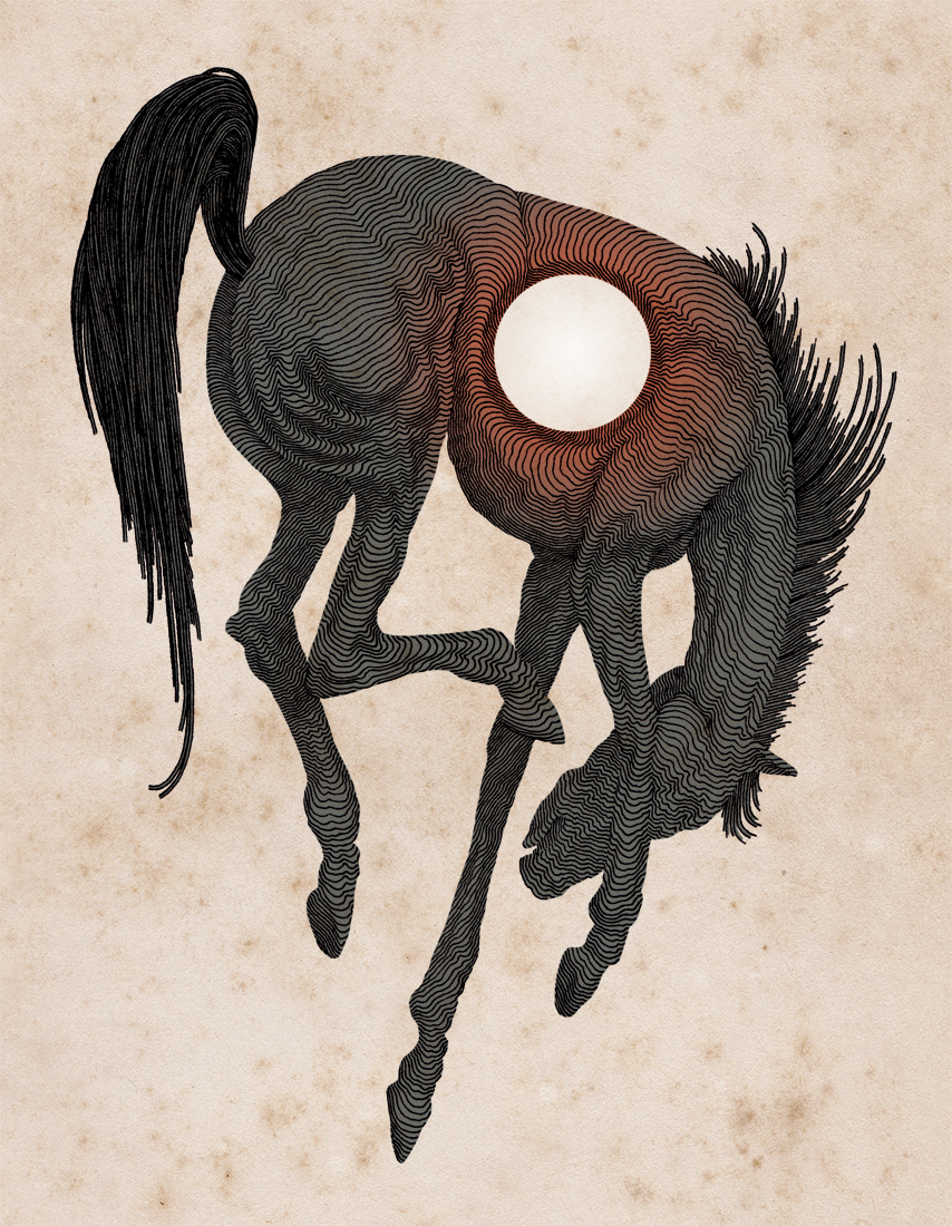 Solo 53 mil. John's Trailing Incredible Adventures y su perro 14