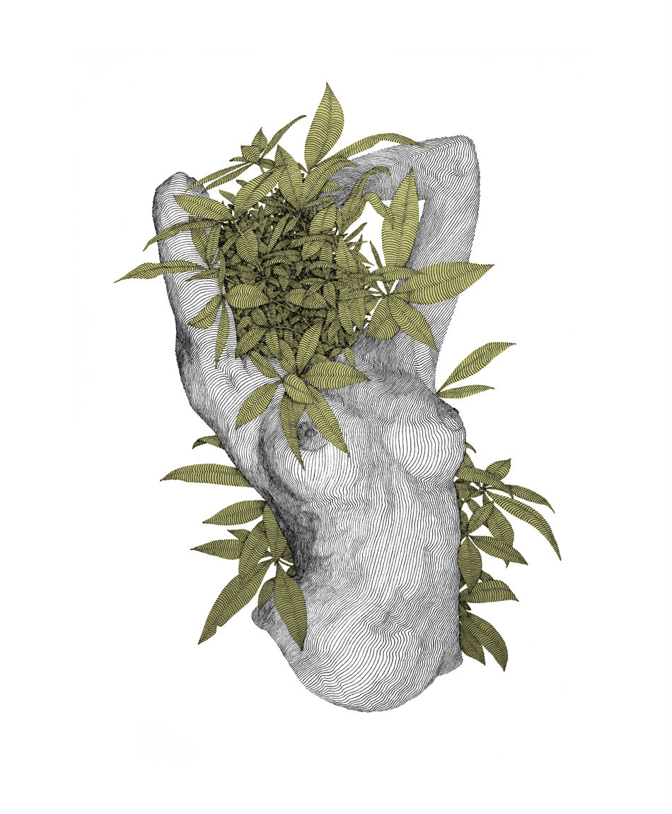 Solo 53 mil. Juan las increíbles aventuras de John y su perro 16