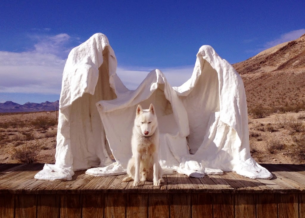 Solo 53 mil. John's Trailing Incredible Adventures y su perro 8