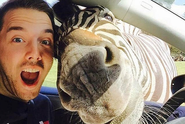 Snapting with Wild Animals es una nueva tendencia 10