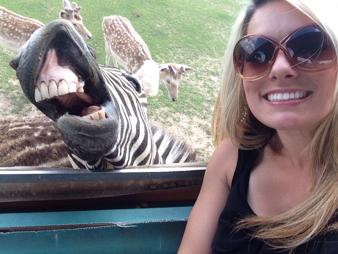 Snapping with Wild Animals es una nueva tendencia 11