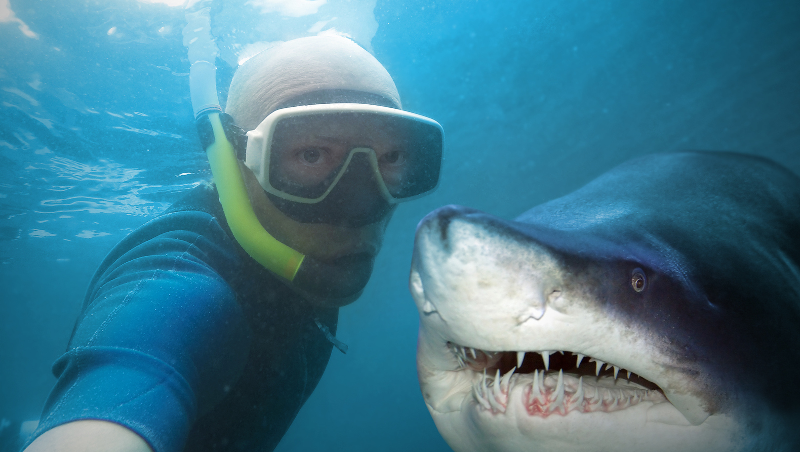 Snapting with Wild Animals es el 12 de la nueva tendencia