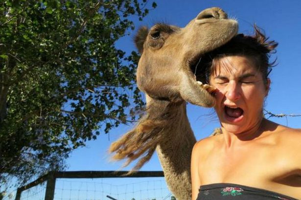 Snapting with Wild Animals es una nueva tendencia
