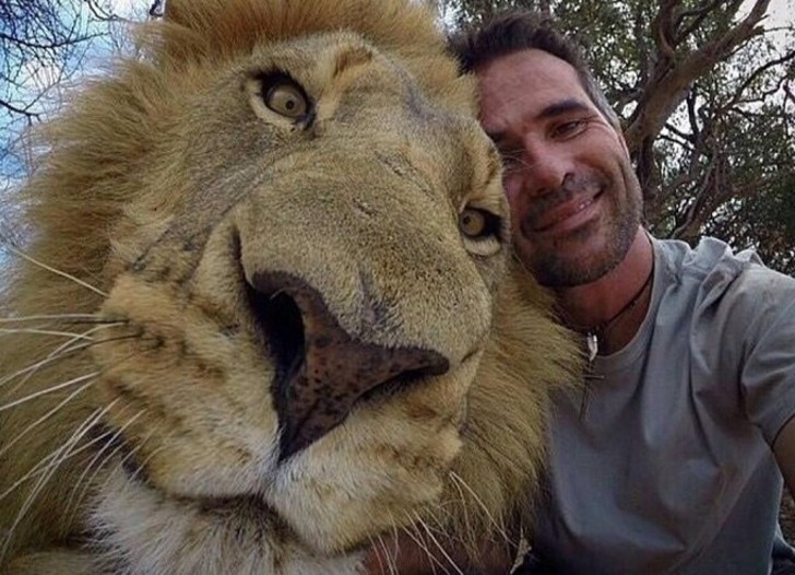 Snapting with Wild Animals es una nueva tendencia 2