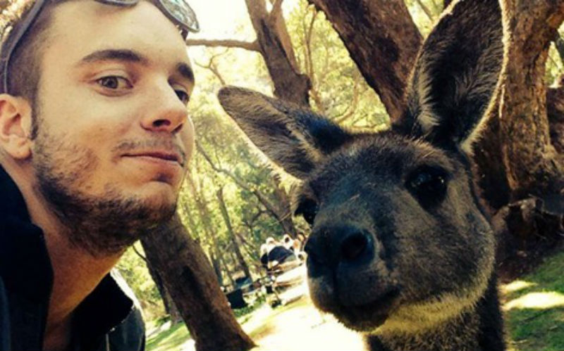 Snapting with Wild Animals es una nueva tendencia 22