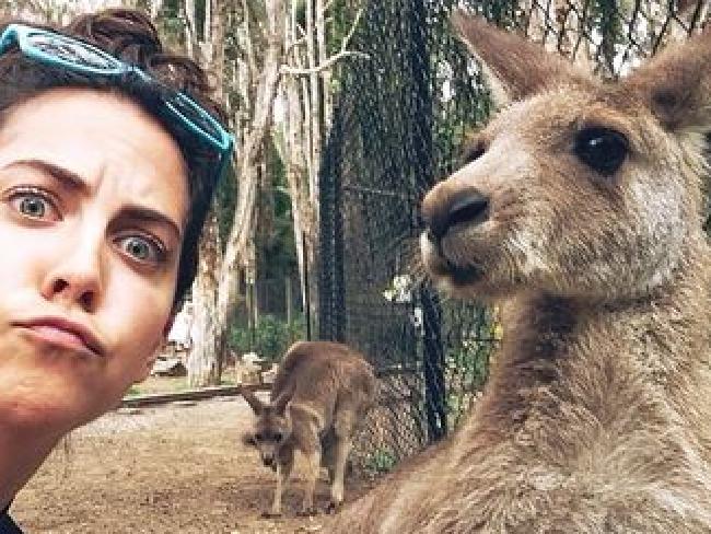 Snapting with Wild Animals es una nueva tendencia 25