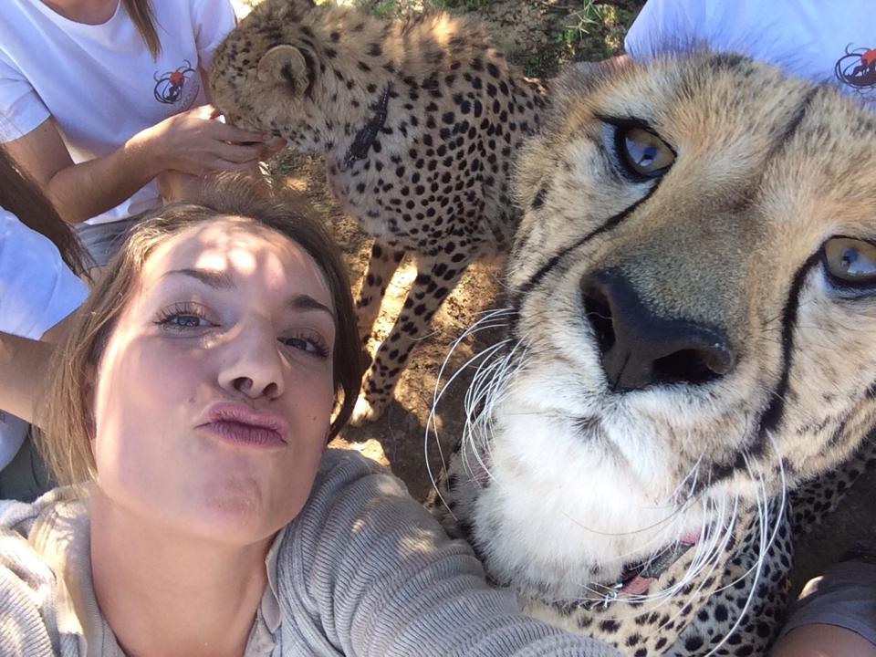 Snapting with Wild Animals es una nueva tendencia 26