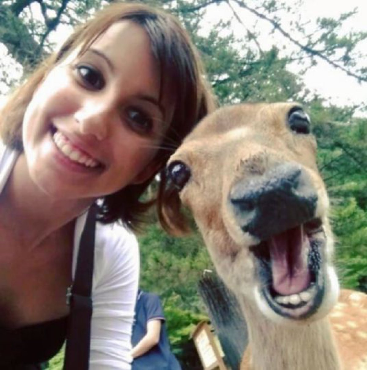 Snapting with Wild Animals es una nueva tendencia 4