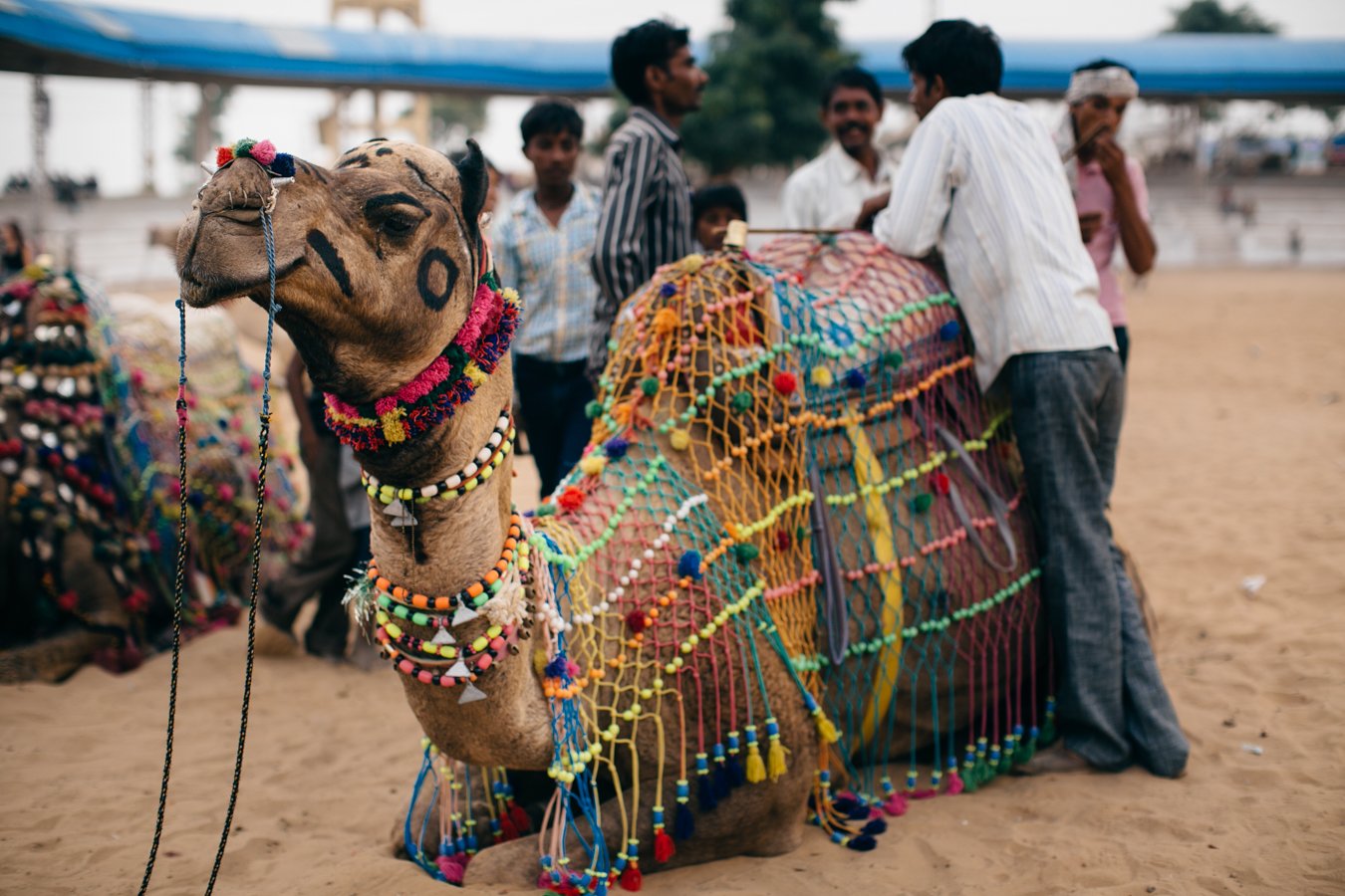 Feria de Camel Pushkar en Rajastan en India 4