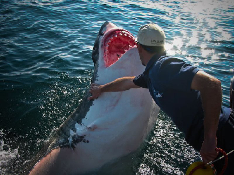 historias_de_amistad_increibles_09