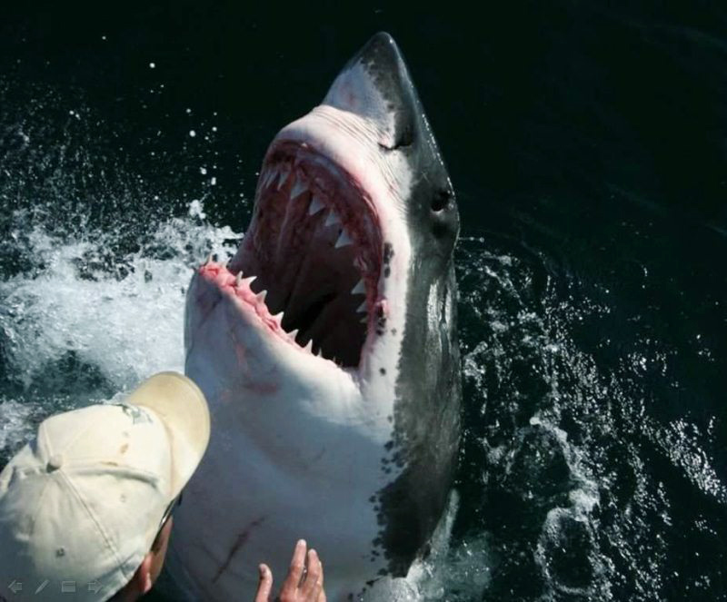 historias_increibles_de_amistad_10