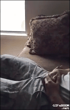 divertidos-gifs-de-ataque-de-gato-para-alegrar-tu-día-21