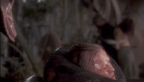 top-10-peliculas-de-terror-animales-04