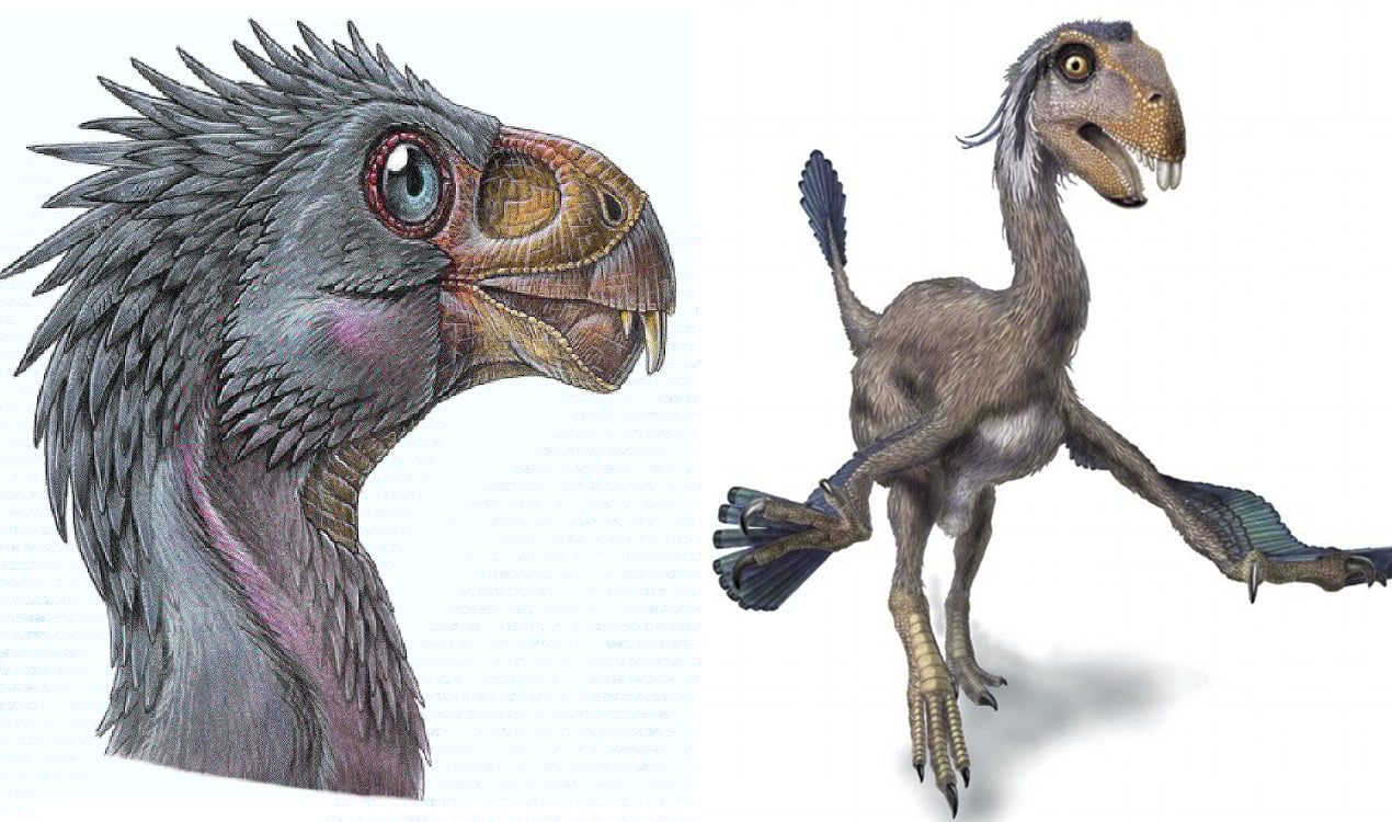 1) Incisovisaurus