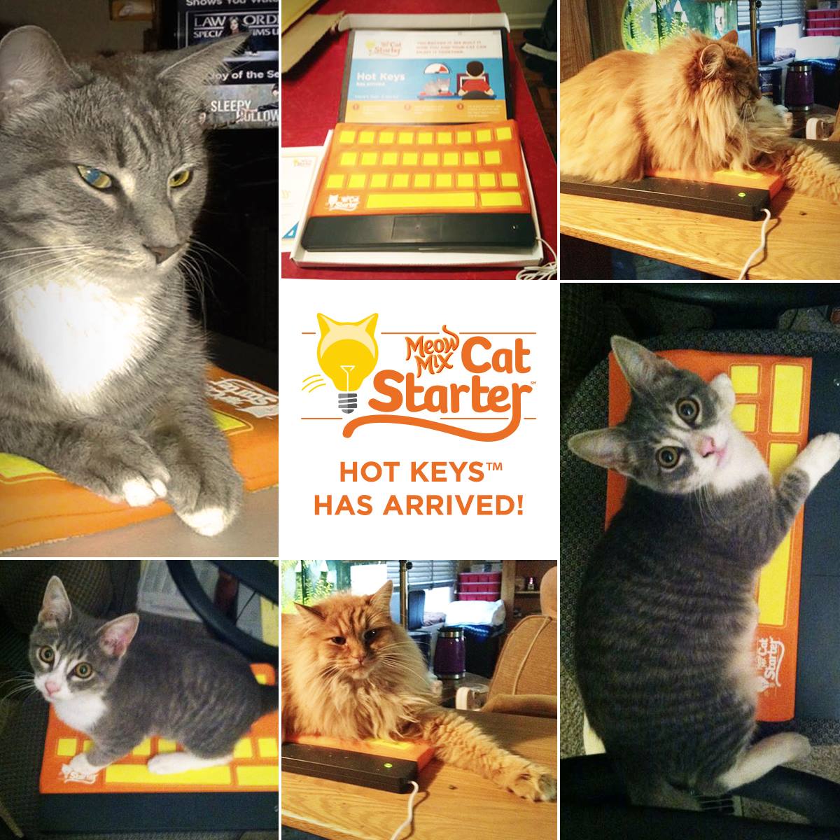 10 compartimentos realmente locos 7