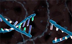 10-MISTERIAS INSOLVADAS. Científicos todavía buffby 4: