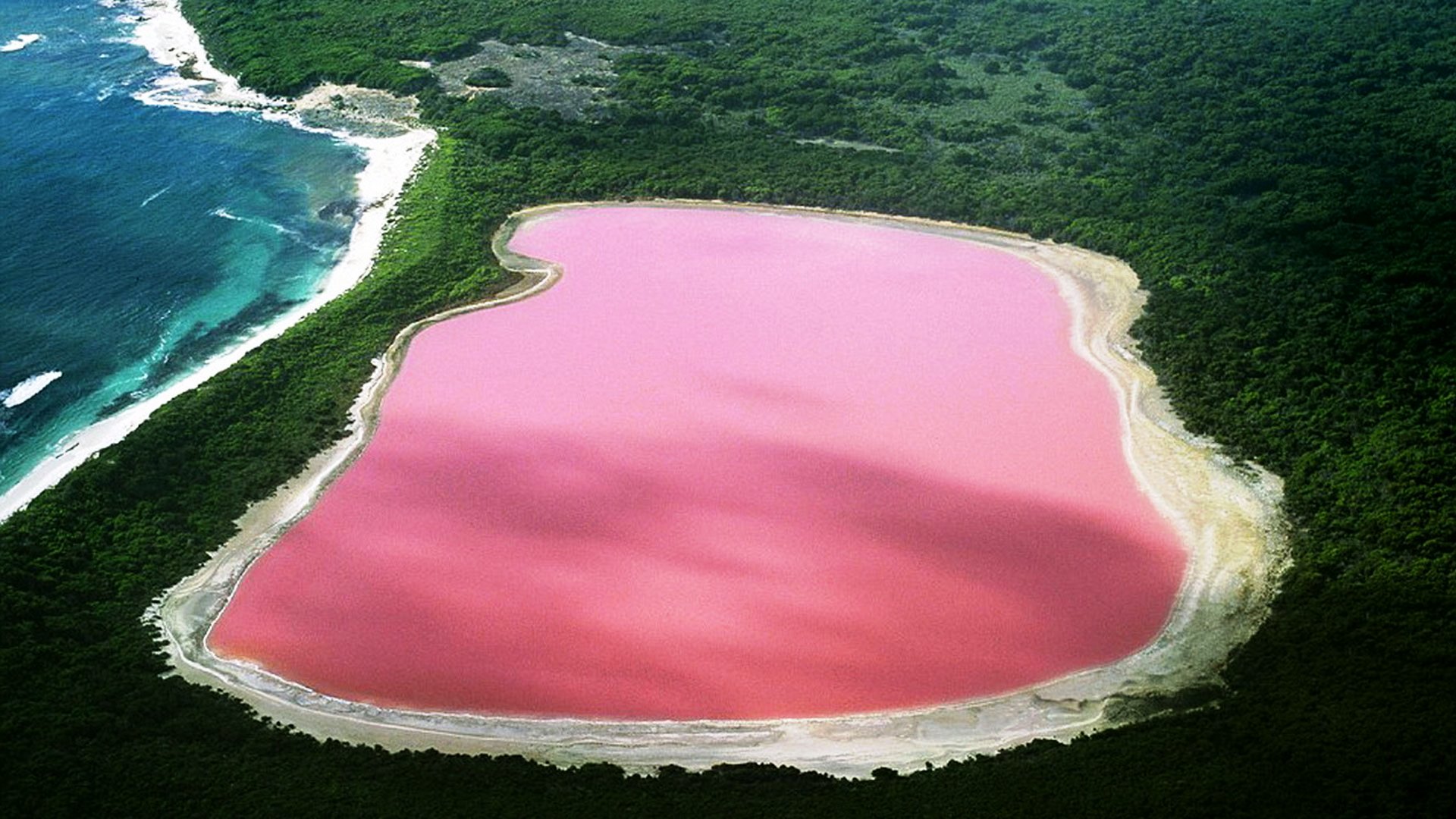 Australia 15 Lago-Pink: