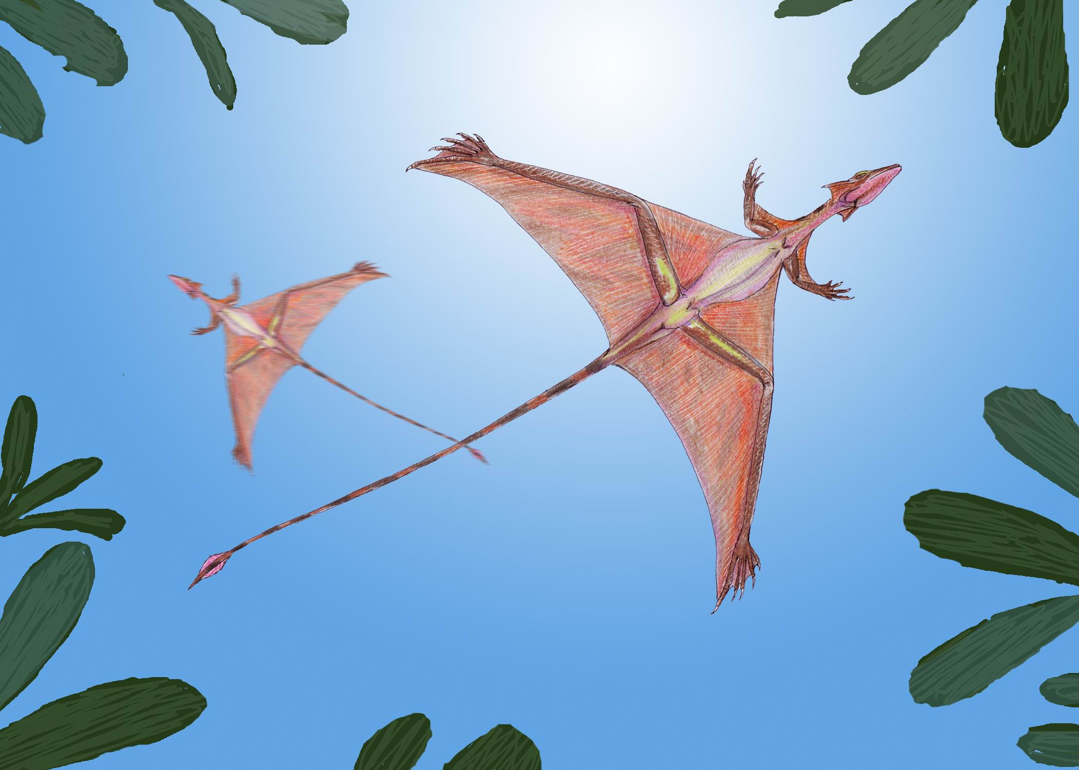 2) Sharovipterx