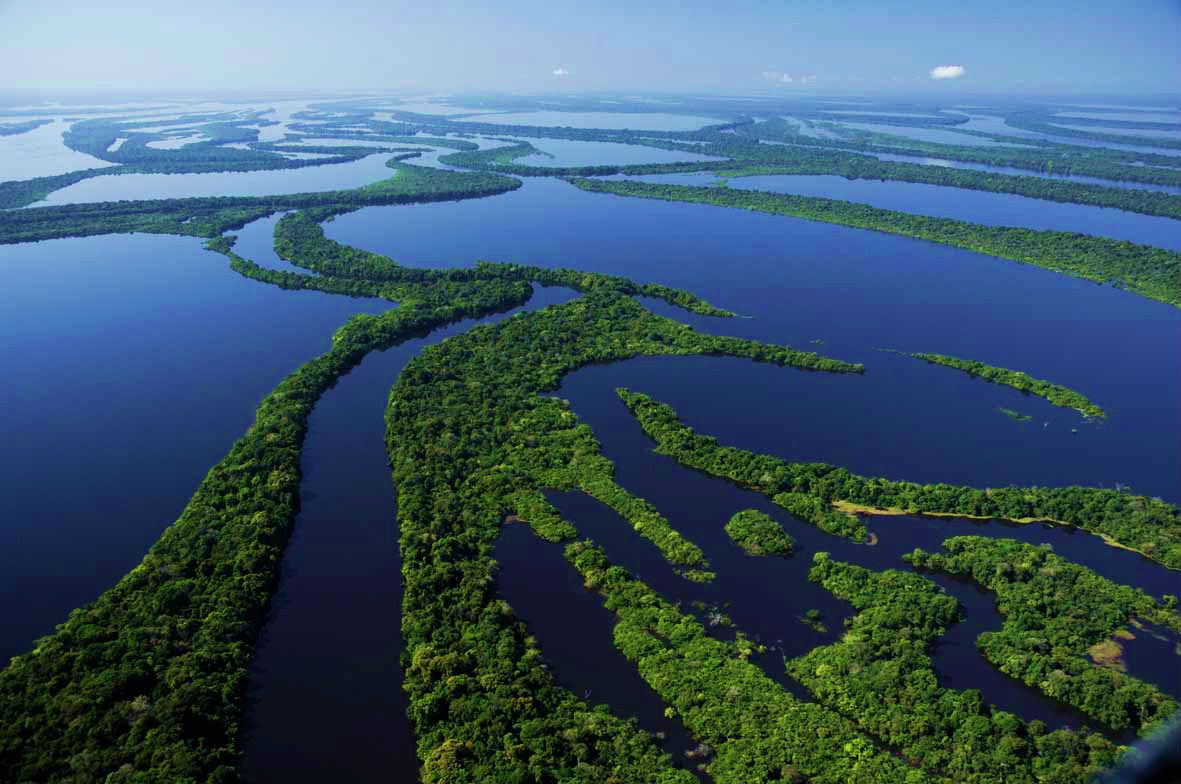 Parque Nacional 4-Anavilhanas cerca del río Amazonas de Brasil