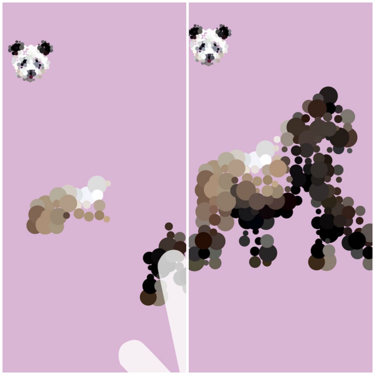 5 mejores programas-dotty