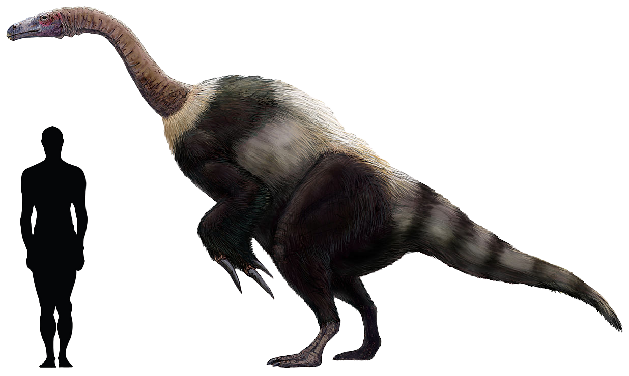 7) Suzhousaurus