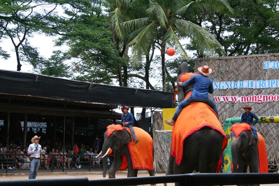 Baloncesto de elefante