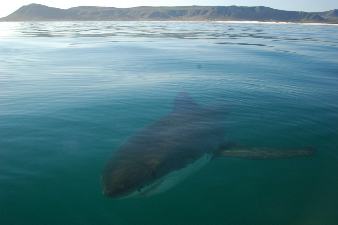 Hermosas playas. Deberías evitar 10