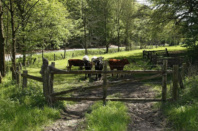 Artistas del cuerpo. Who-Mix-People-Inside -24