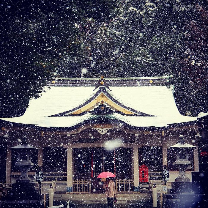 Japón-SNOW-13