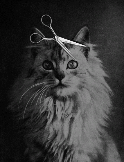 Gifts surrealistas. Es la voluntad de tu imaginación -05