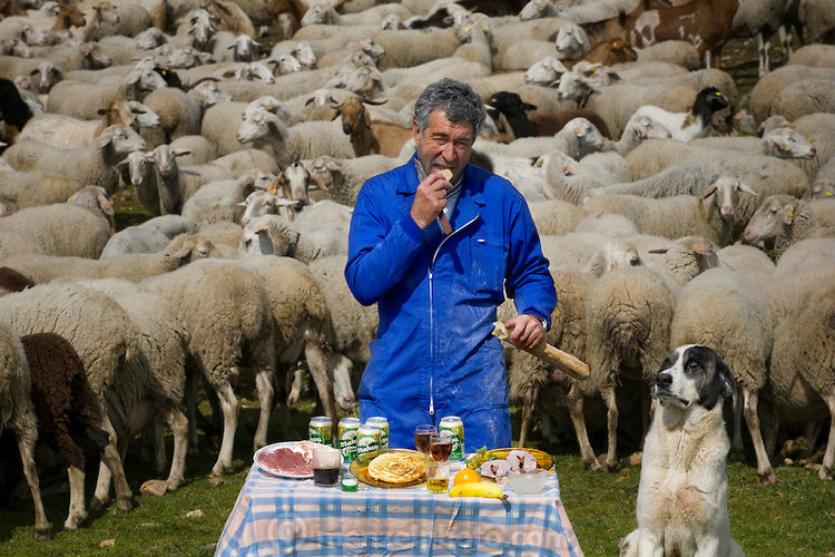 Algo-SOUL-EAL -21 -21