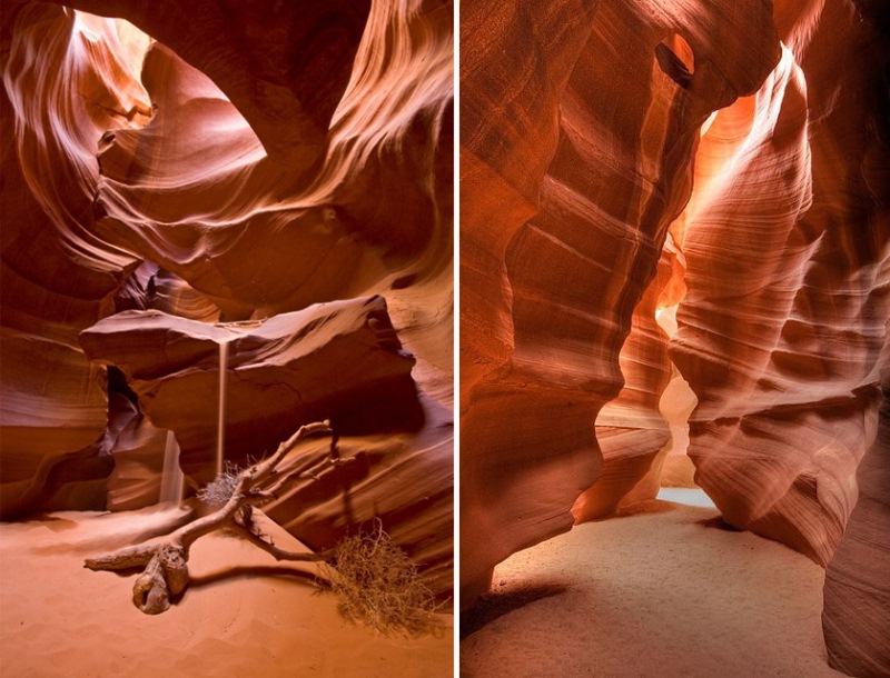 Naturaleza alienígena y hermosa de 14 ejemplos alucinantes 12