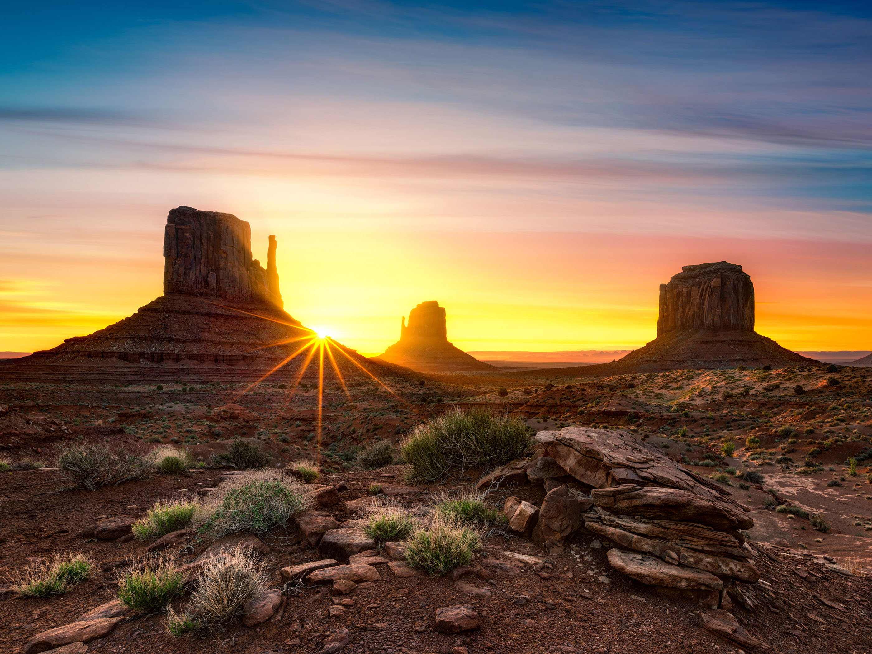 14 Ejemplos de mente de naturaleza extraña y hermosa 16