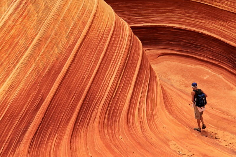 14 Ejemplos de mente de naturaleza extranjera y hermosa 19