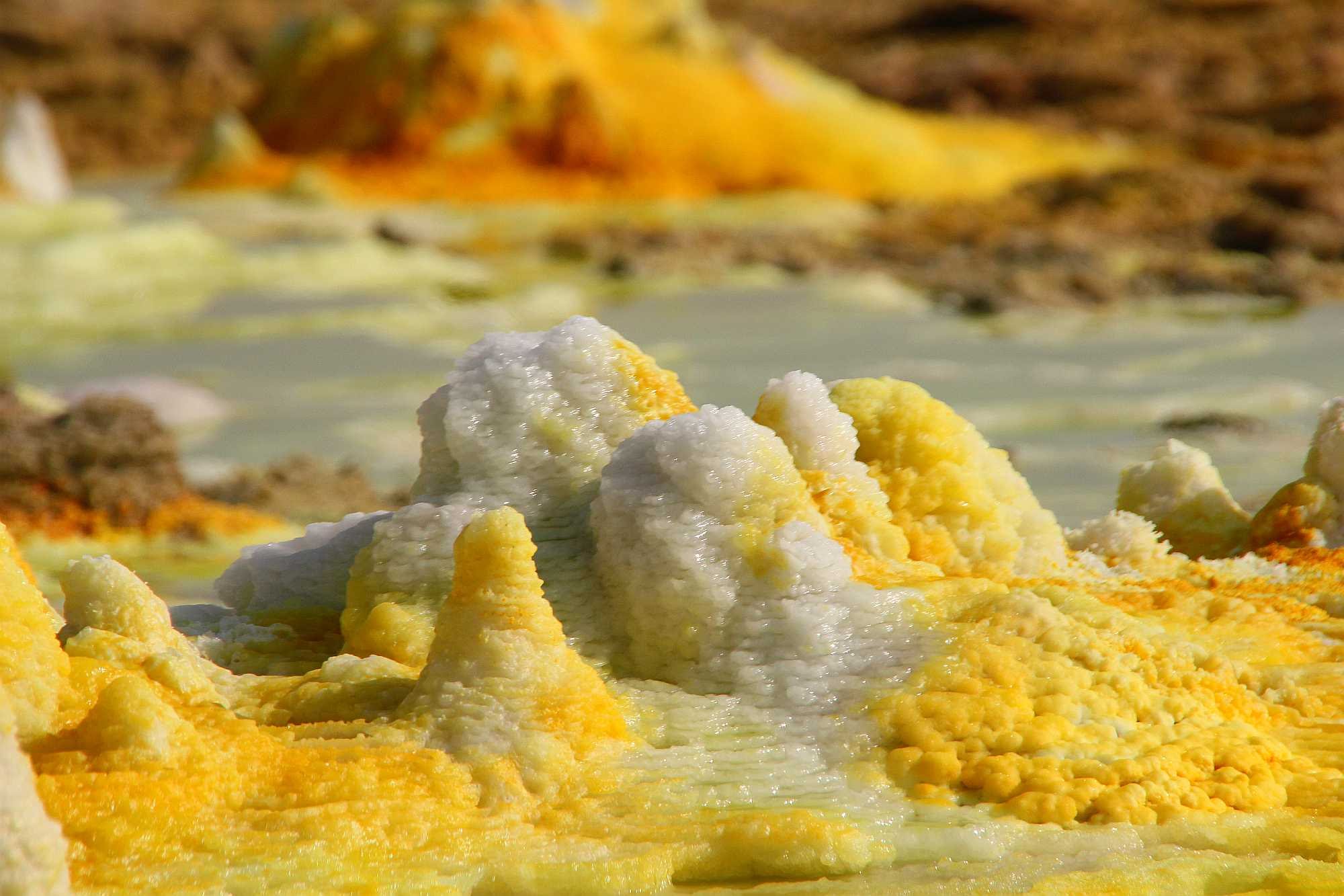 14 alias y hermosas naturaleza diseños mentales 2