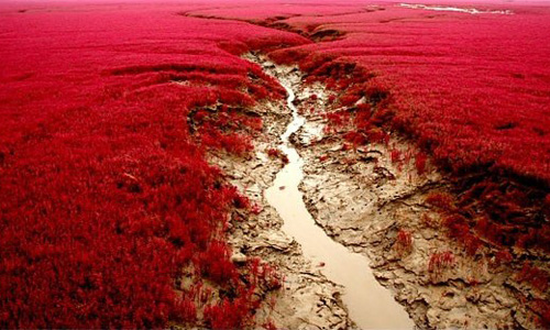 14 Naturaleza extranjera y hermosa 25 Ejemplos de la mente 25