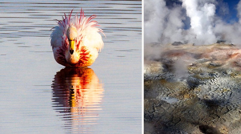 14 Ejemplos de mente de naturaleza extranjera y hermosa 7