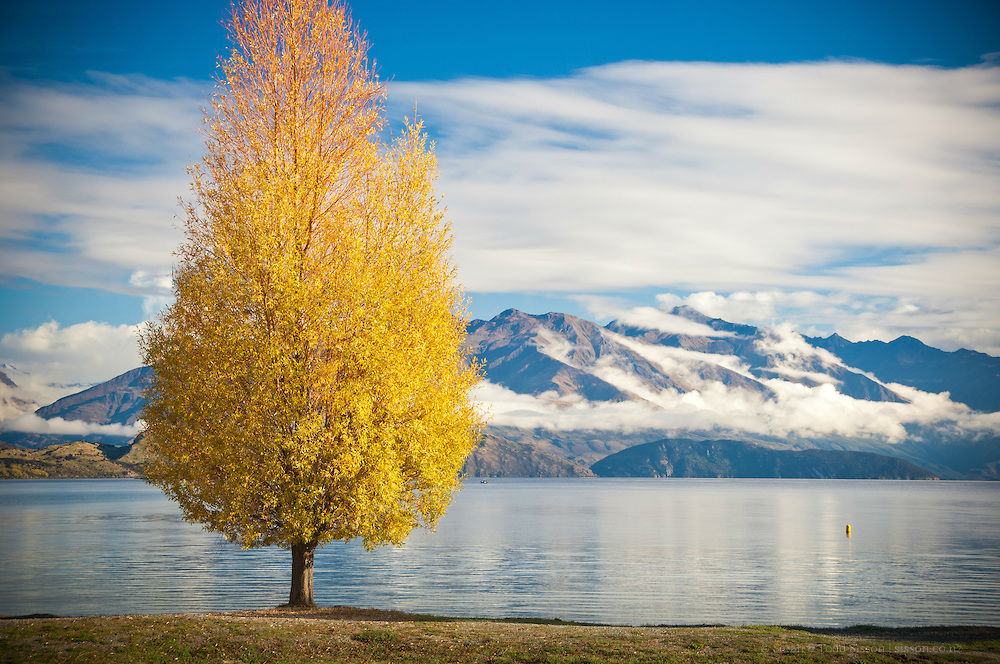 El planet-planet-planet más sorprendente -041